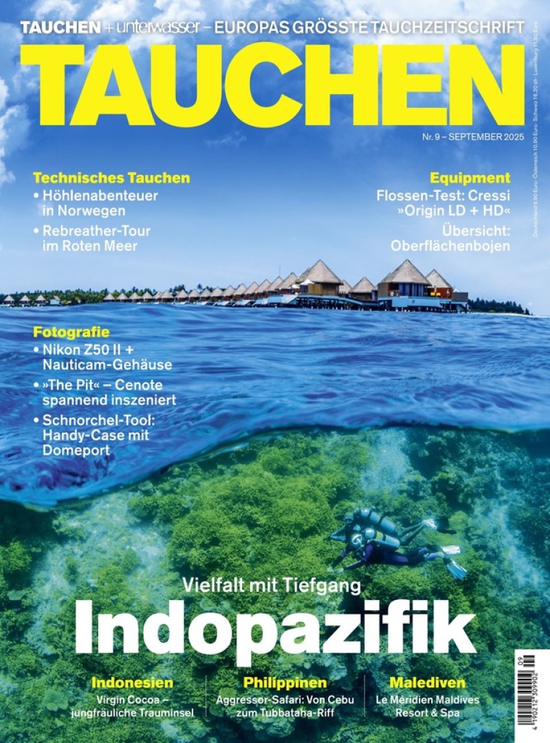 tauchen
