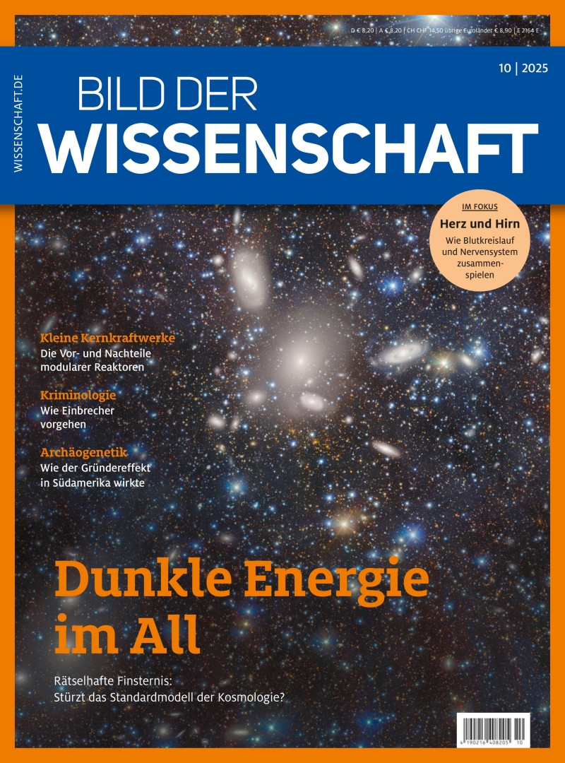 bild der wissenschaft bild der wissenschaft