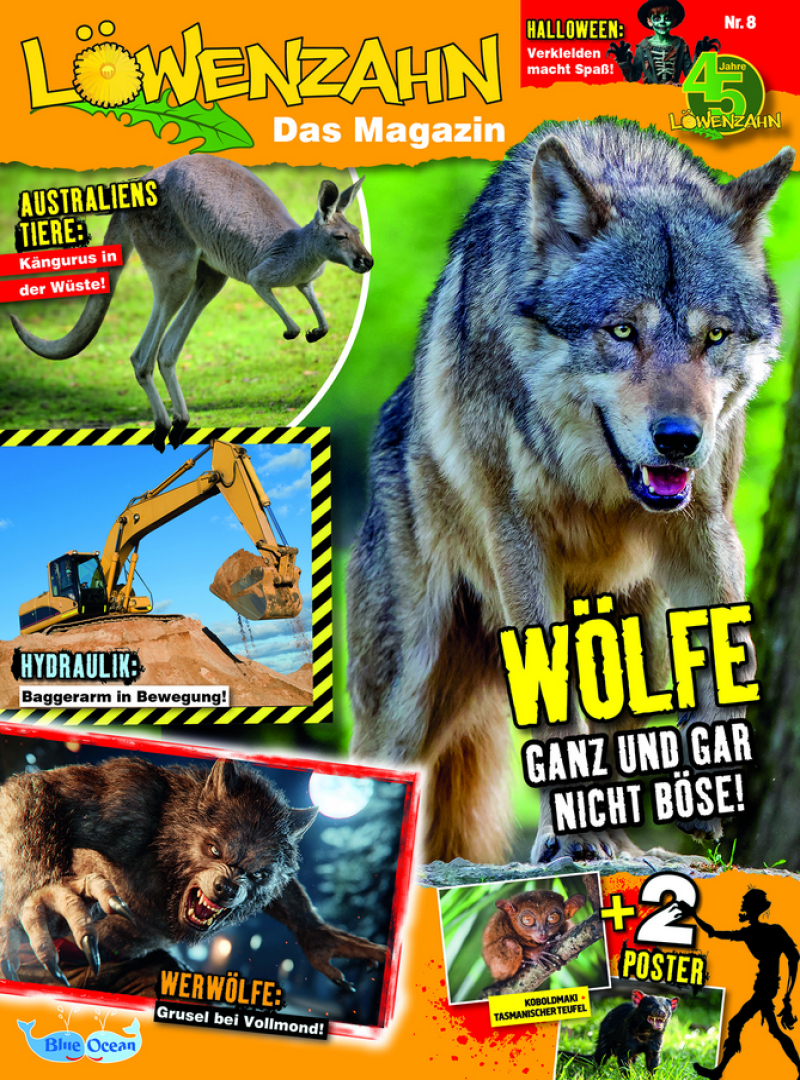 Löwenzahn Löwenzahn