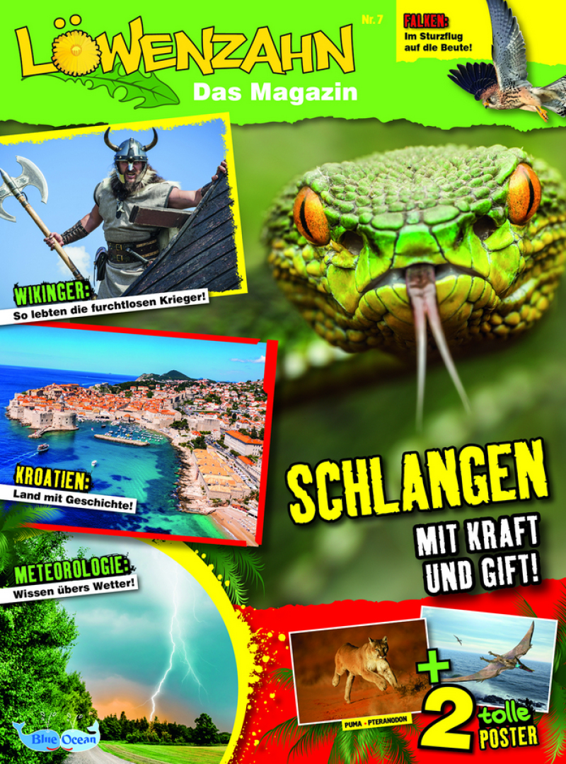 Löwenzahn