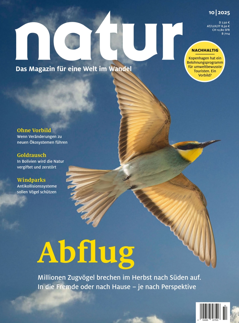 natur natur