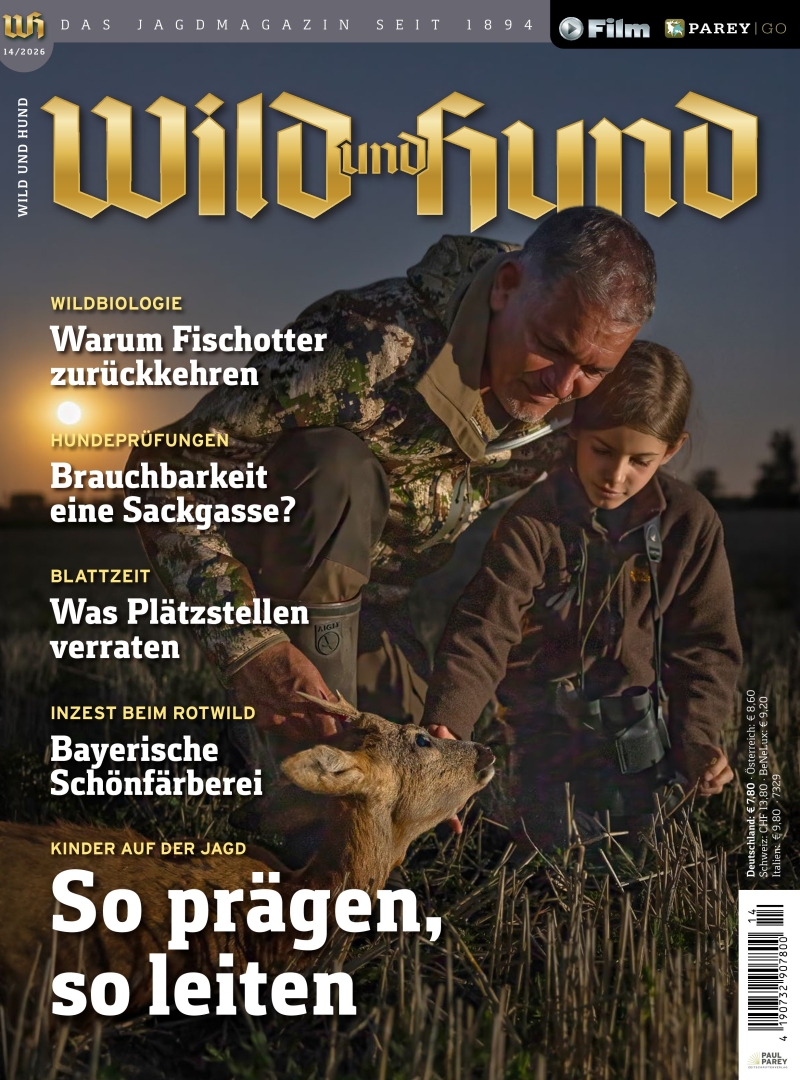 Wild und Hund