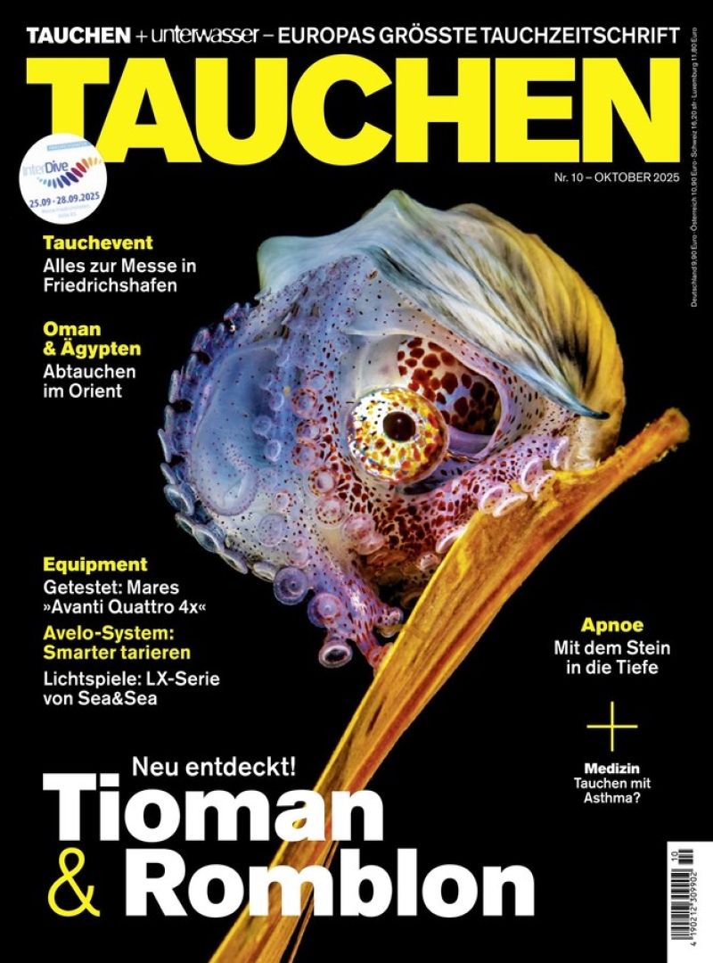 tauchen