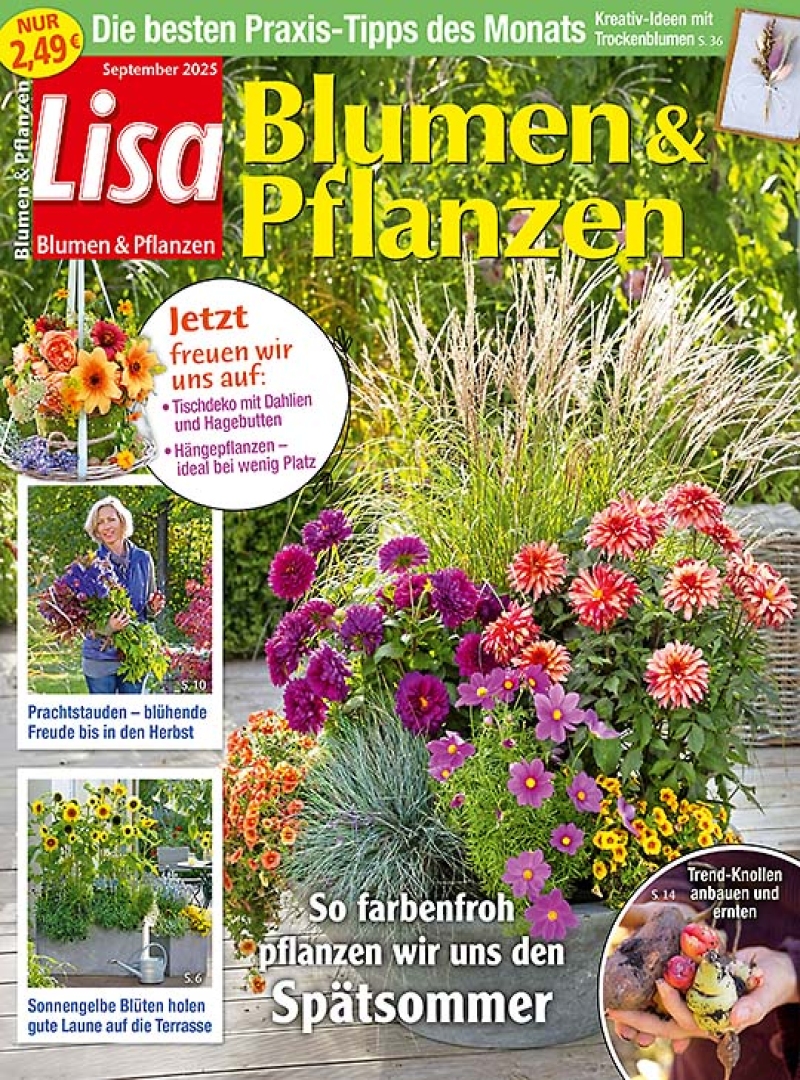 Lisa Blumen & Pflanzen