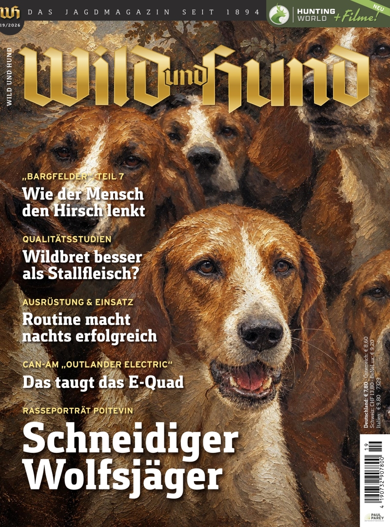 Wild und Hund