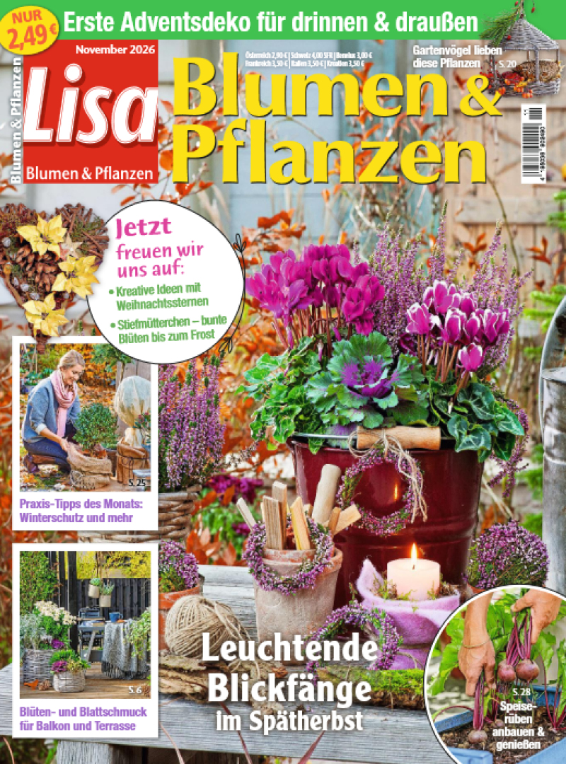 Lisa Blumen & Pflanzen