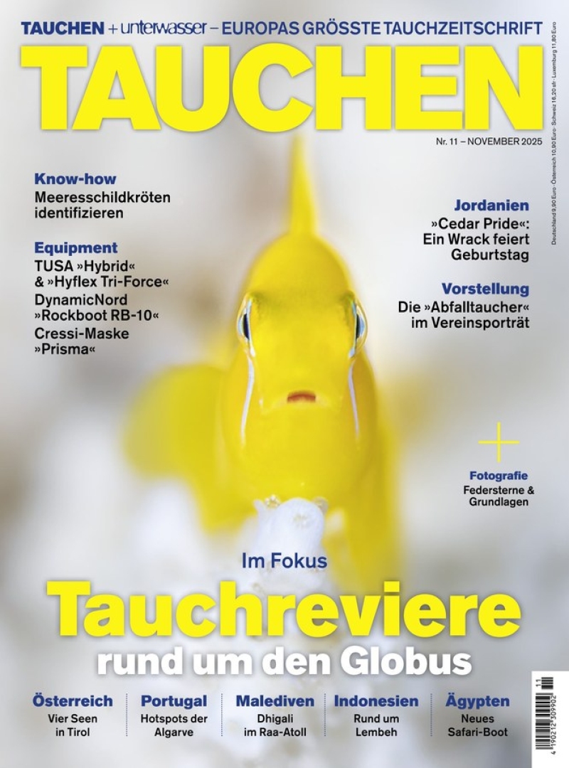tauchen tauchen