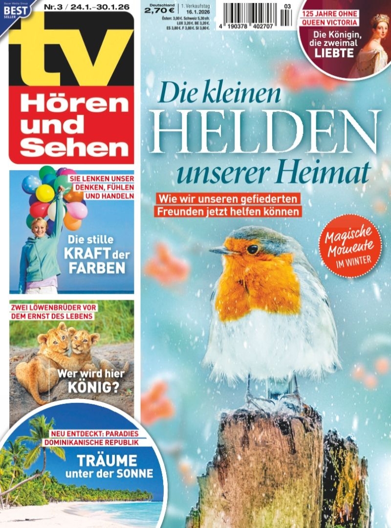 tv Hören und Sehen