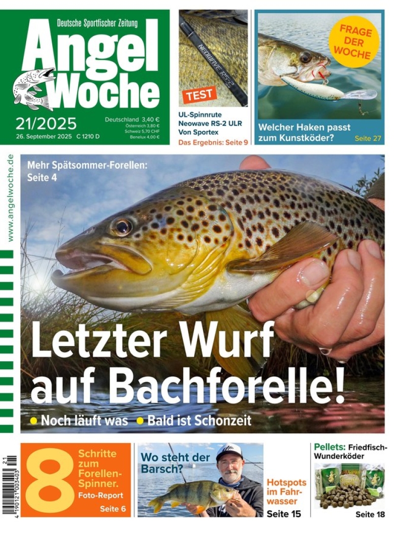 AngelWoche