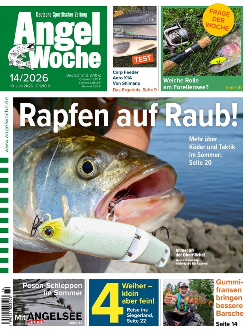 AngelWoche