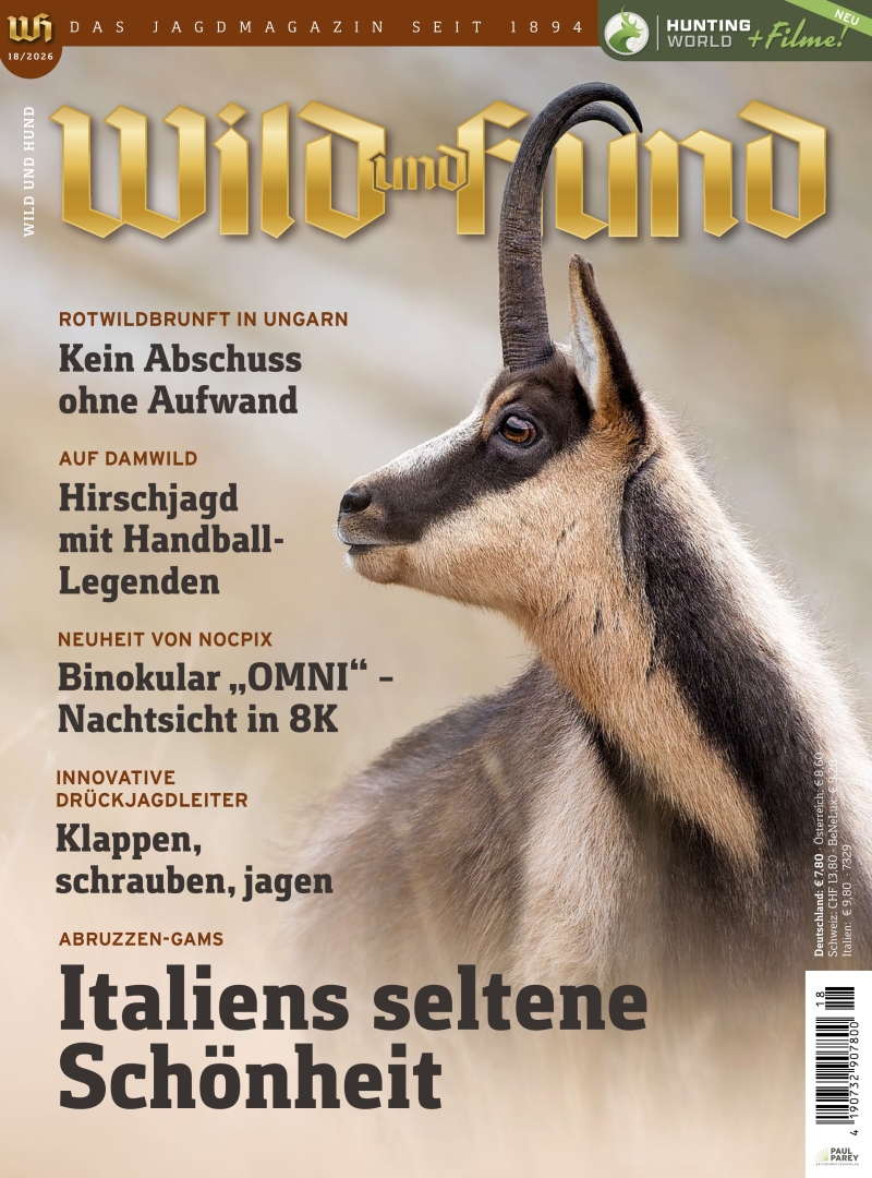 Wild und Hund