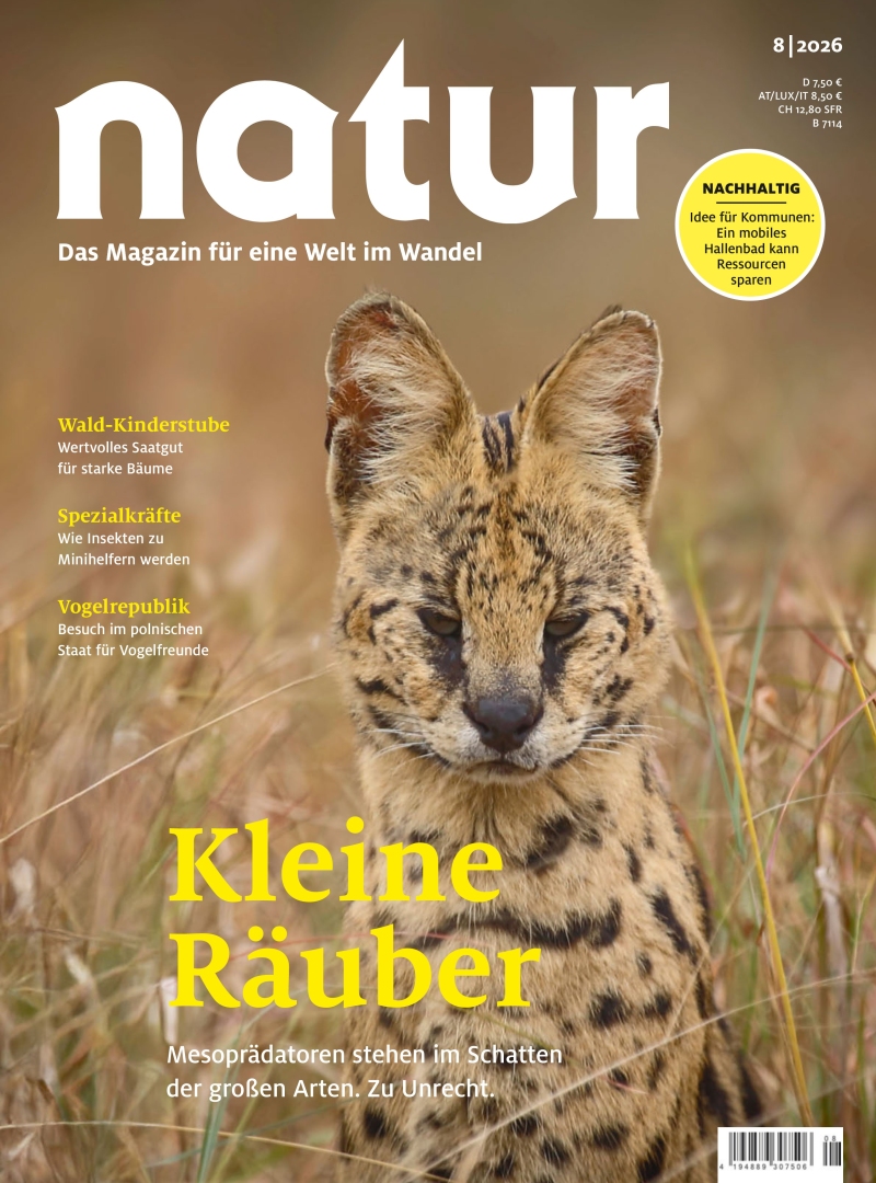 natur