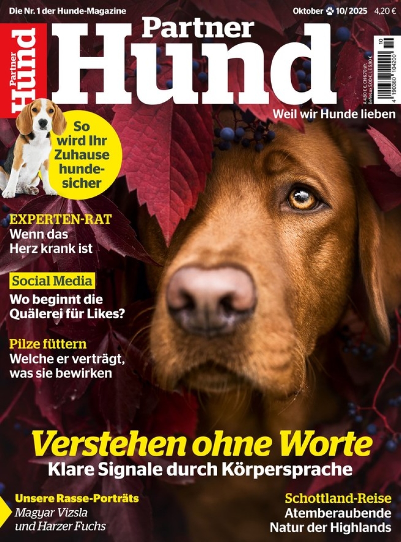 Partner Hund Partner Hund