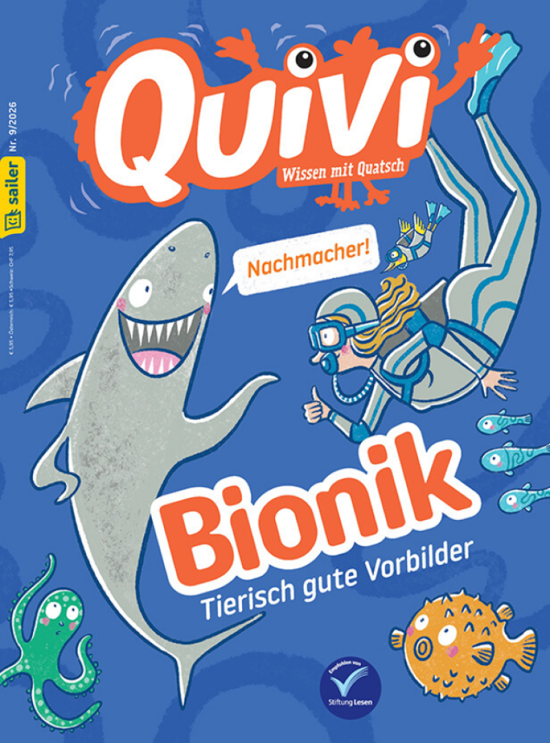 Quivi