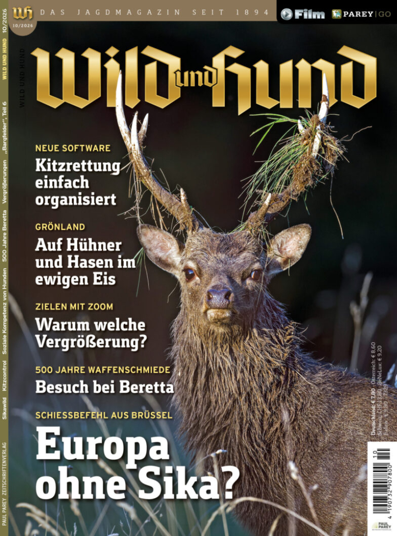 Wild und Hund