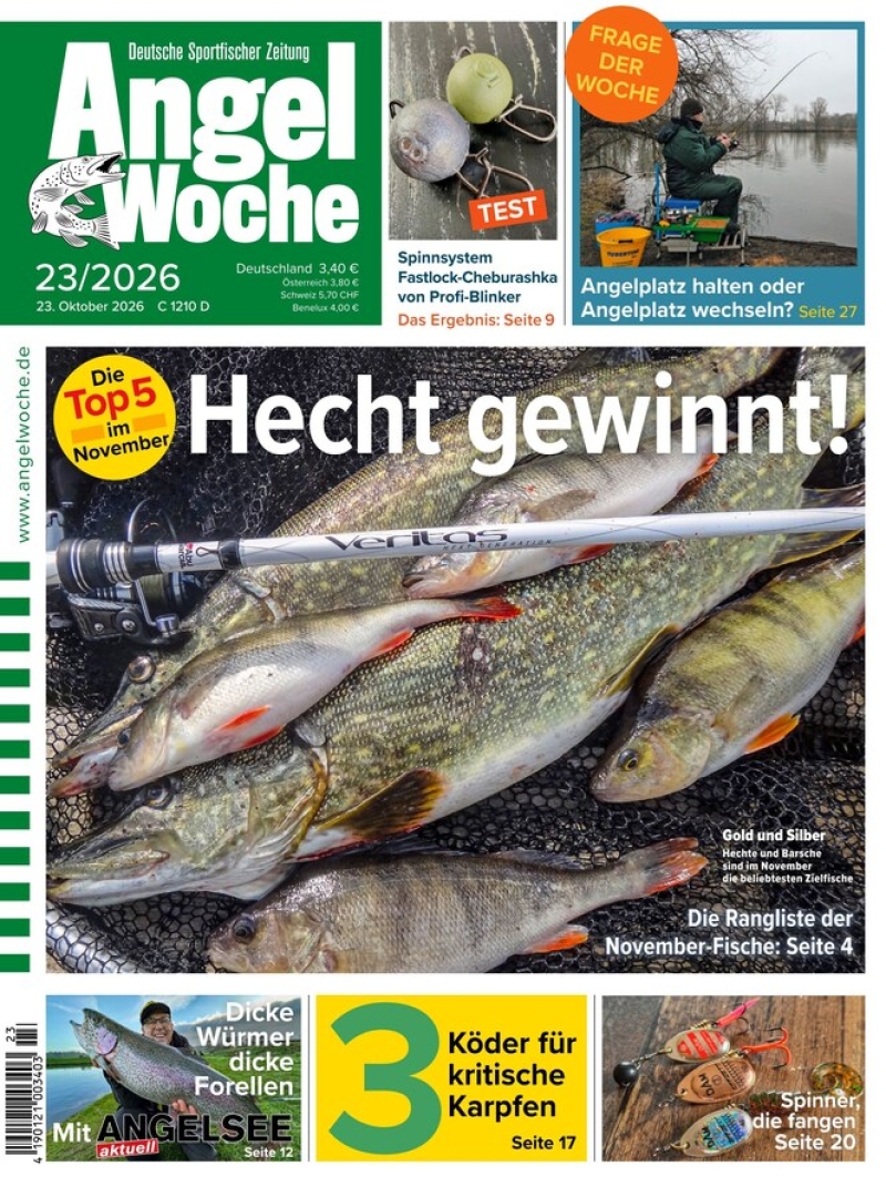 AngelWoche
