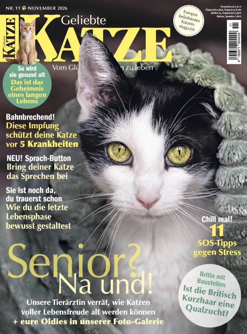 Geliebte KATZE