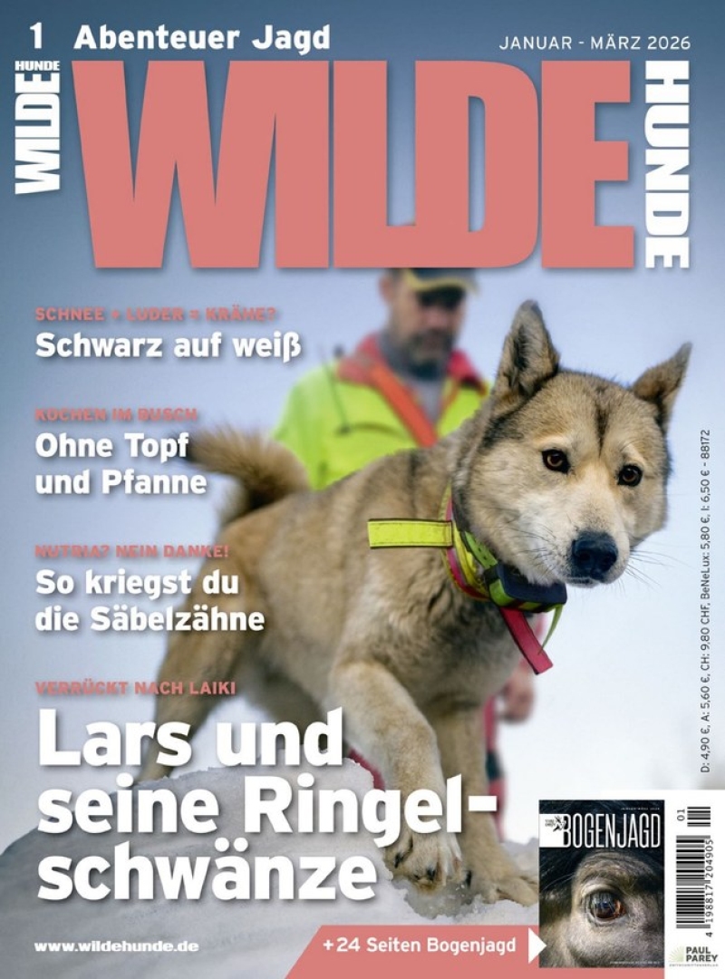 Wilde Hunde