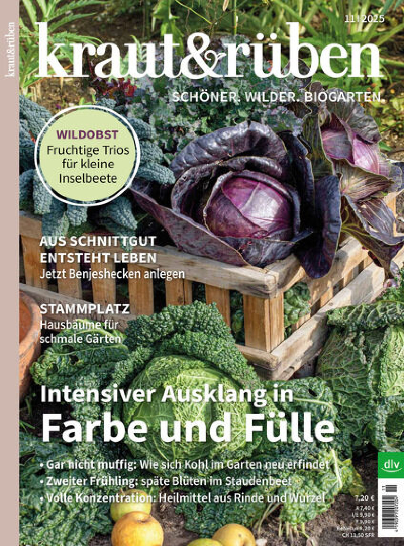 kraut & rüben kraut & rüben