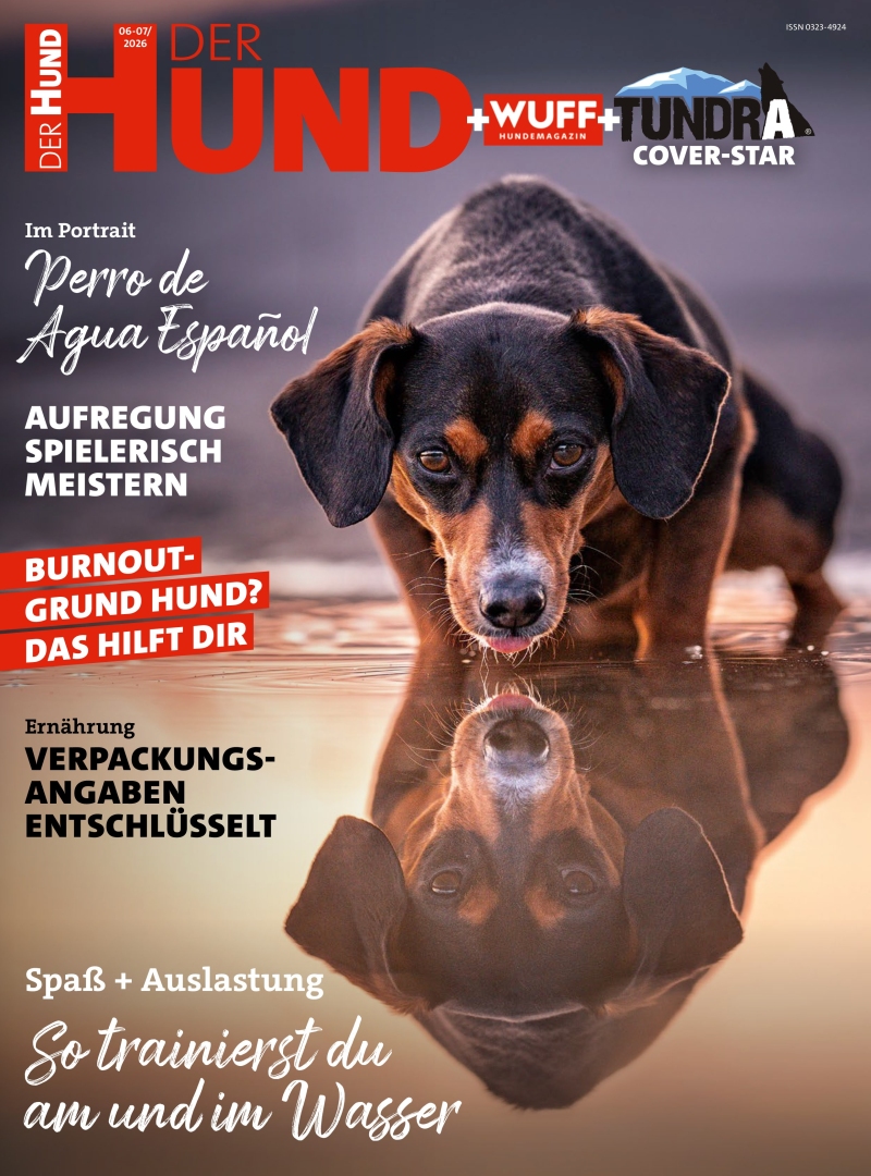 DER HUND