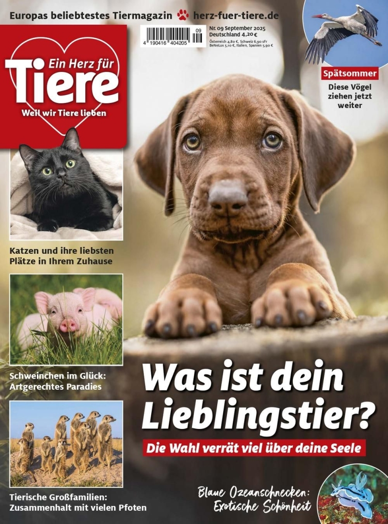 Ein Herz für Tiere Ein Herz für Tiere