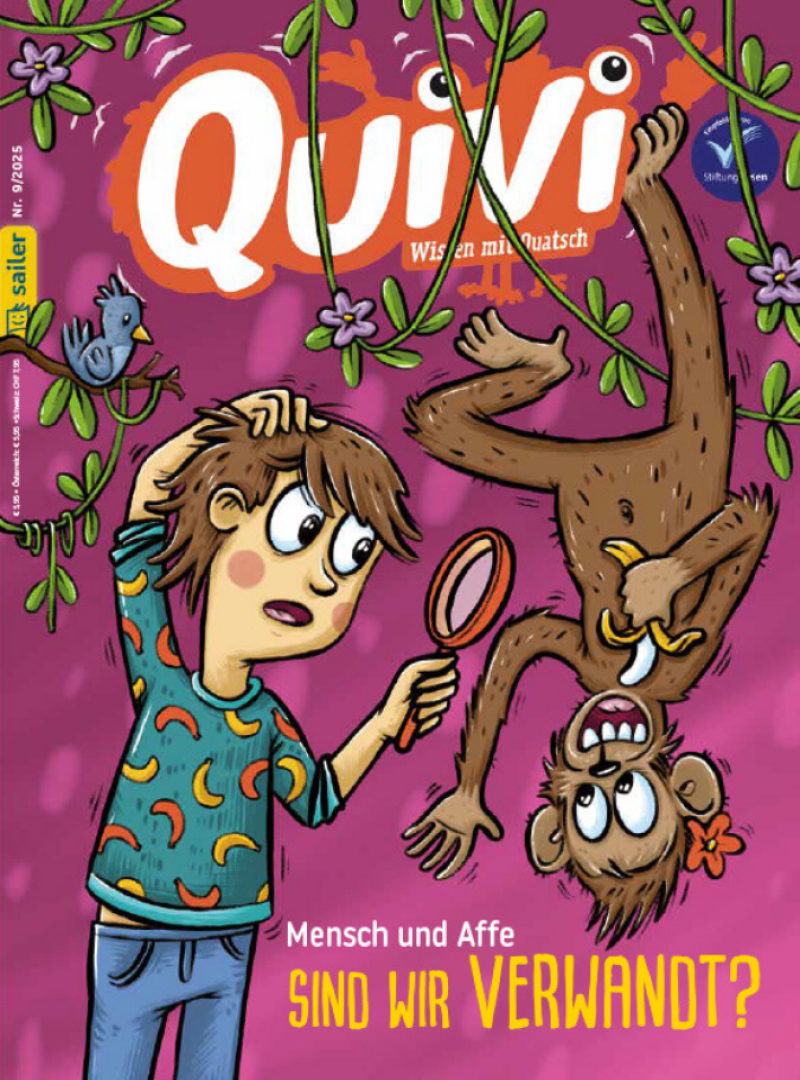 Quivi