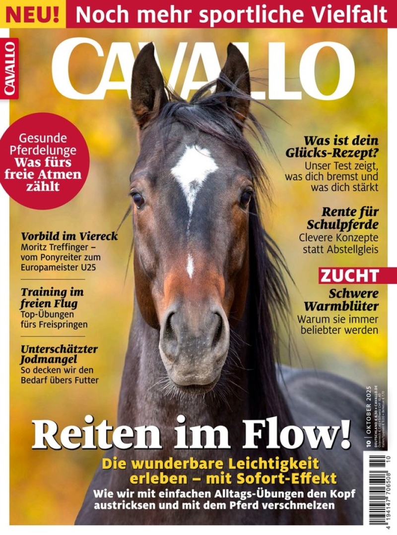 CAVALLO