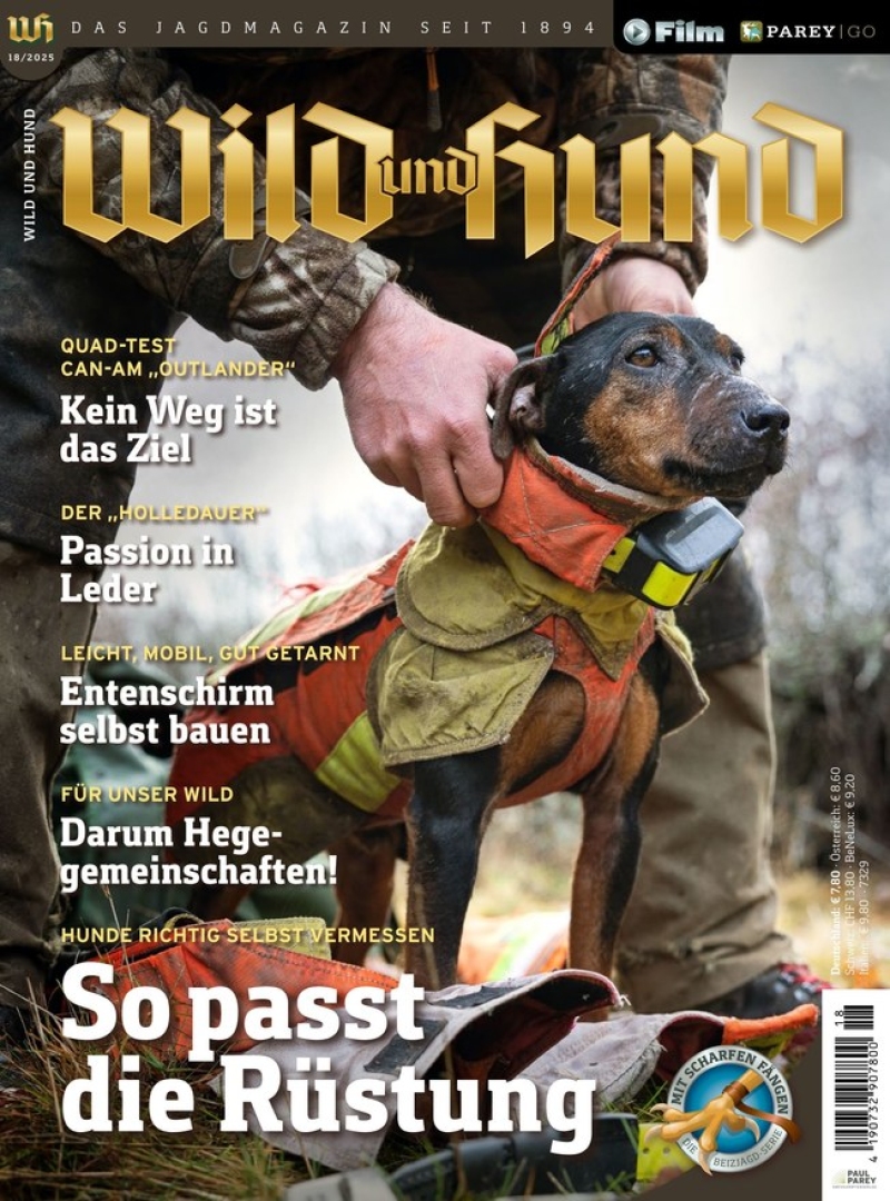 Wild und Hund