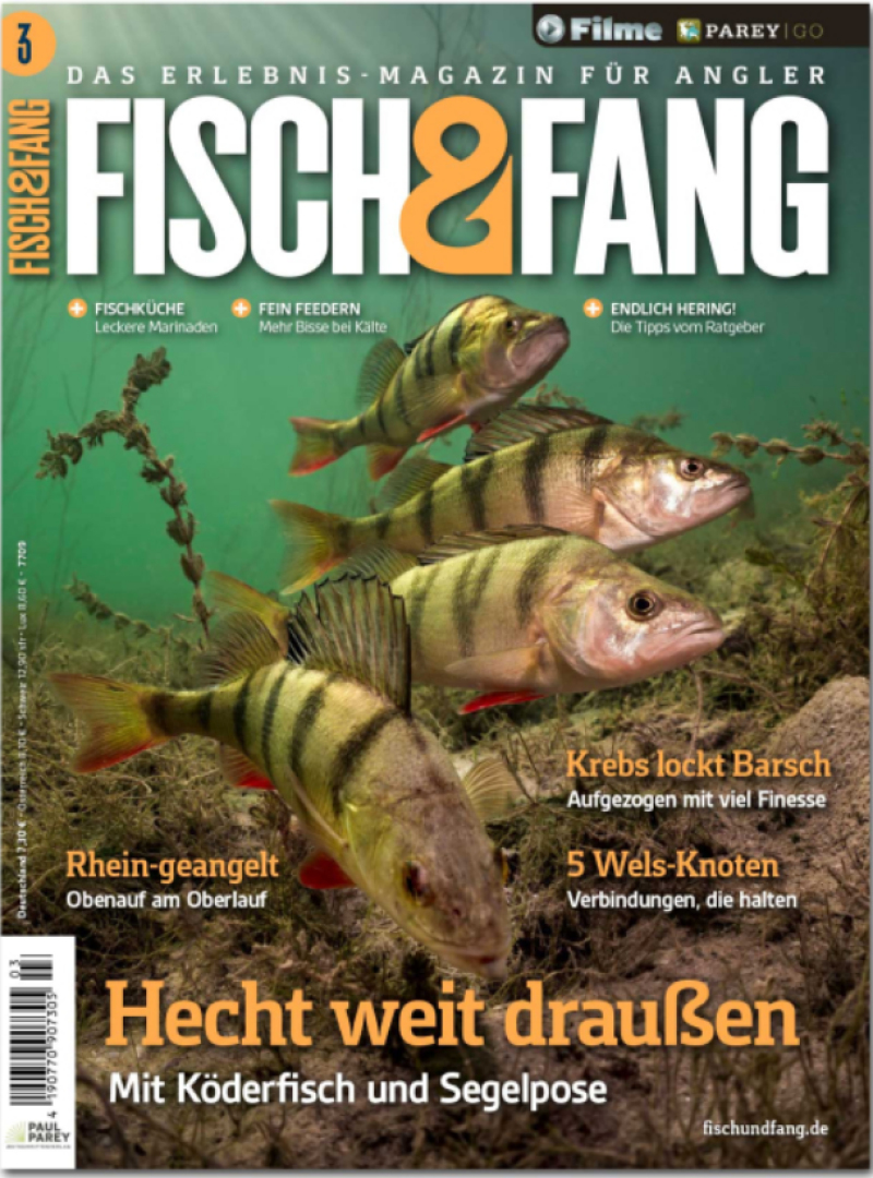 Fisch & Fang