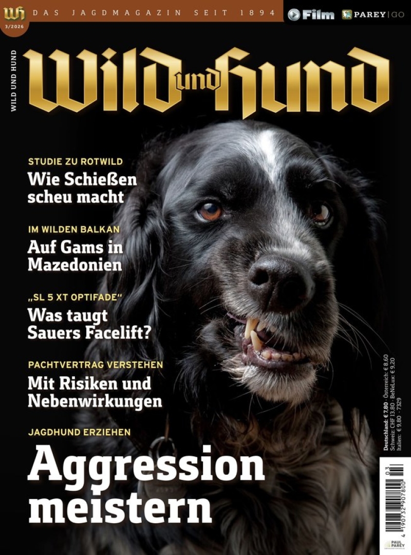 Wild und Hund