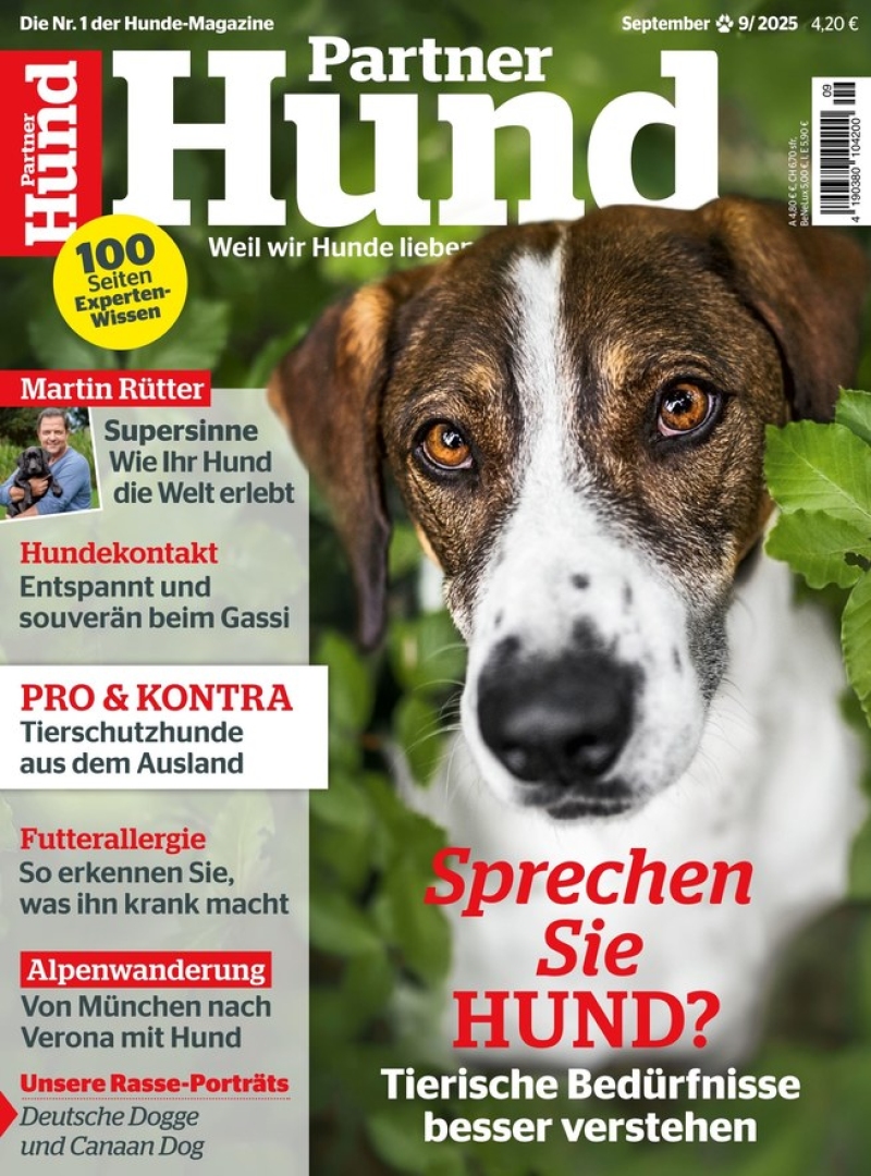 Partner Hund Partner Hund