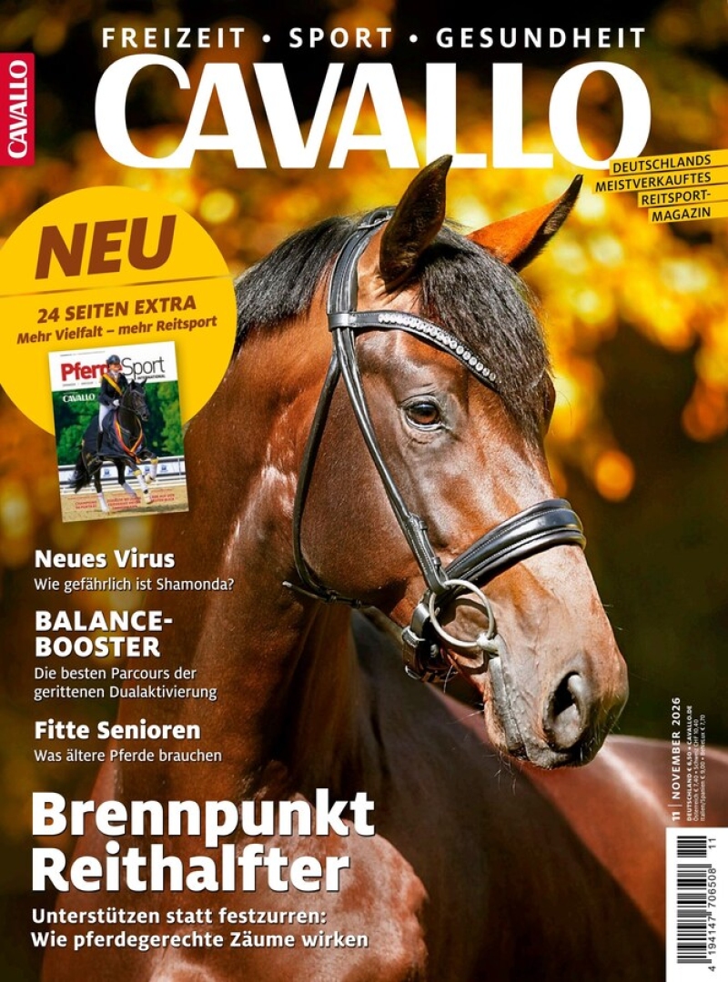 CAVALLO