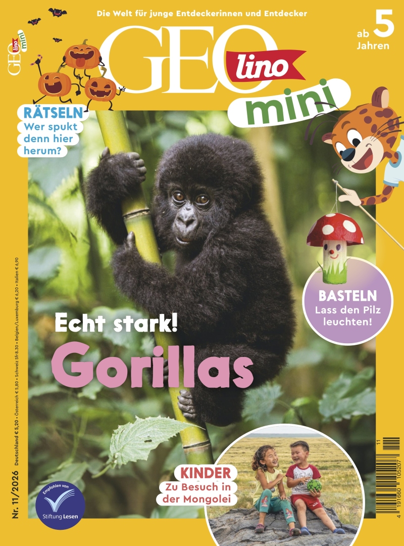 GEOlino mini