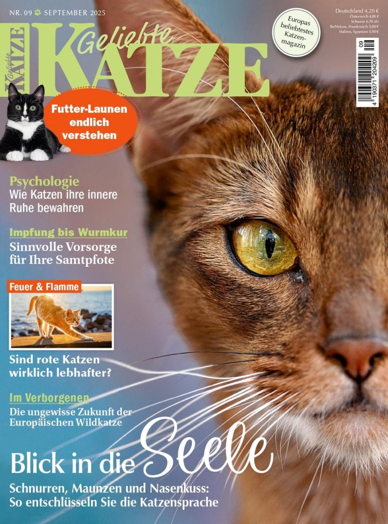 Geliebte KATZE Geliebte KATZE