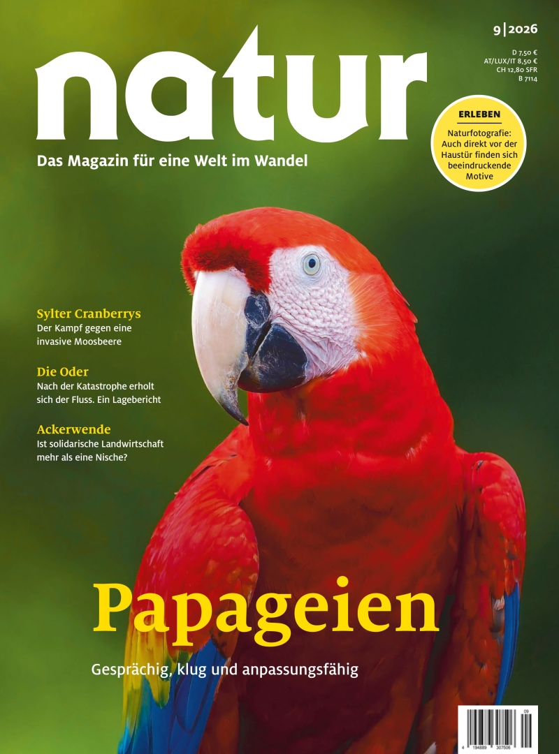 natur