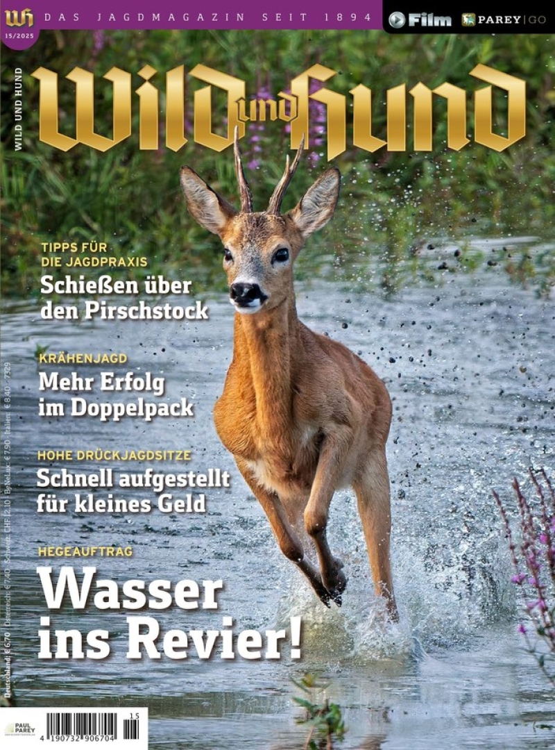 Wild und Hund