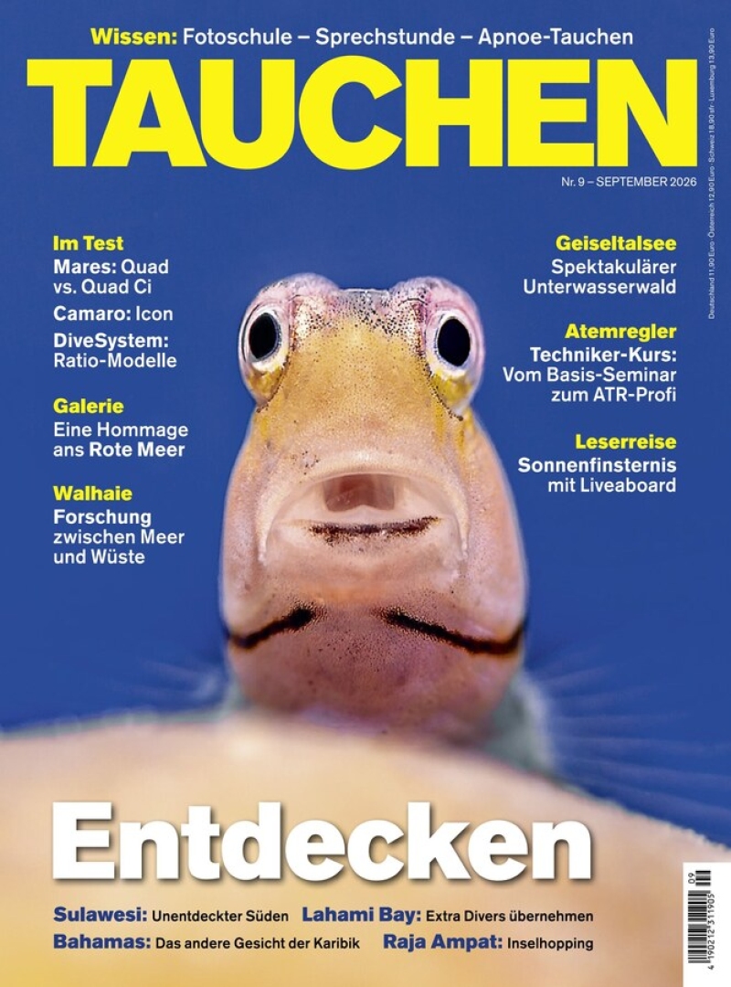 tauchen