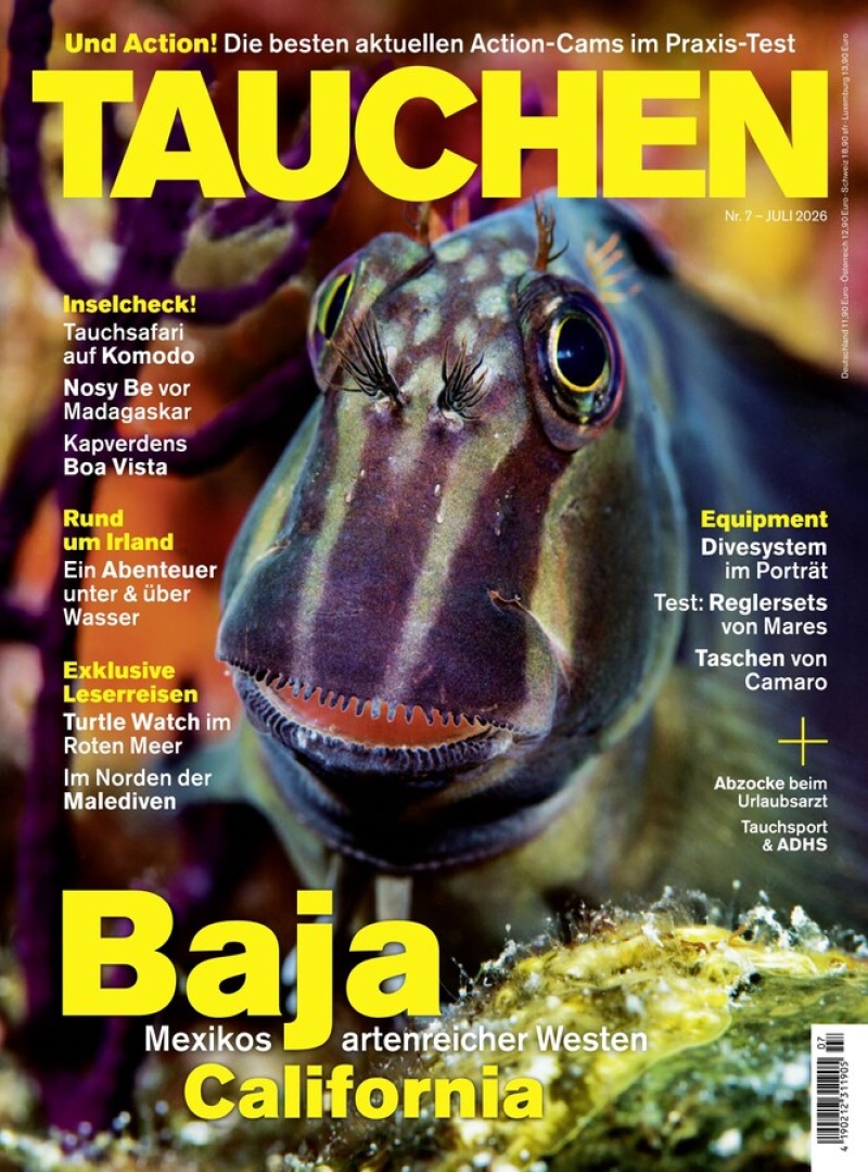 tauchen