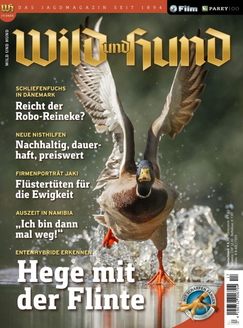 Wild und Hund