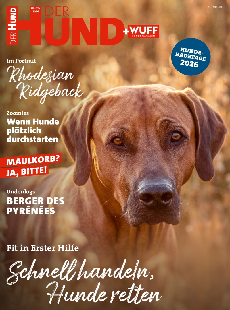 DER HUND