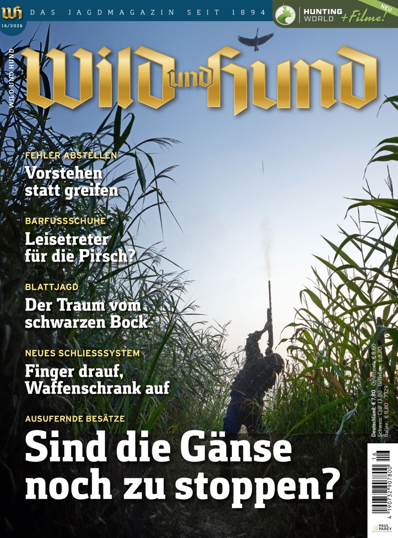 Wild und Hund